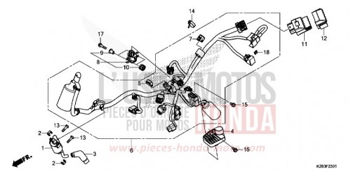FAISCEAU DES FILS (CRF125F/FB K) CRF125FBK de 2019